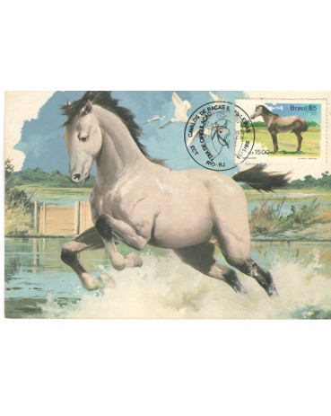 1985 MÁXIMO POSTAL 108 - CAVALOS RAÇAS BRASILEIRAS - MARAJOARA - 7480